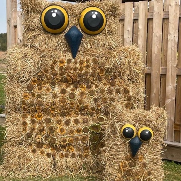 Meet your Posher, Crystal - Picture 1 of 1